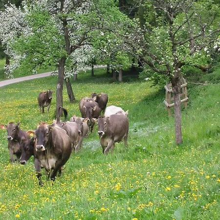 Apartment Haus Stangl