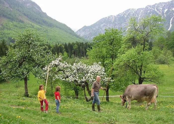 Haus Stangl * Bad Aussee