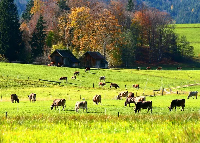 Apartman Haus Stangl Bad Aussee